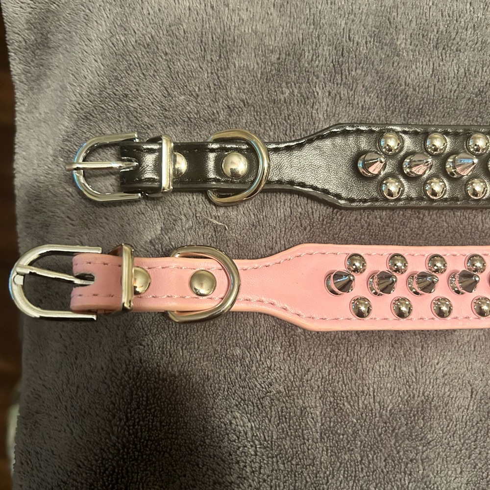 Dog collars, size large brand new